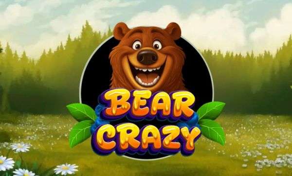 Bear Crazy Game